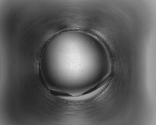 X0000088881355200706151804