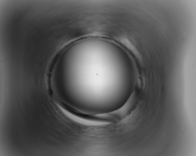 X0000088881356200706151804