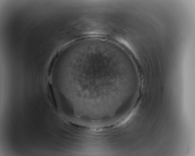 X0000088881357200706151804