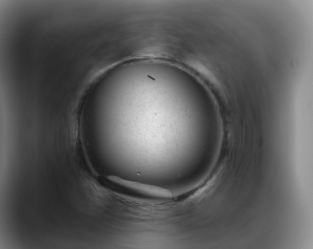 X0000088881358200706151804