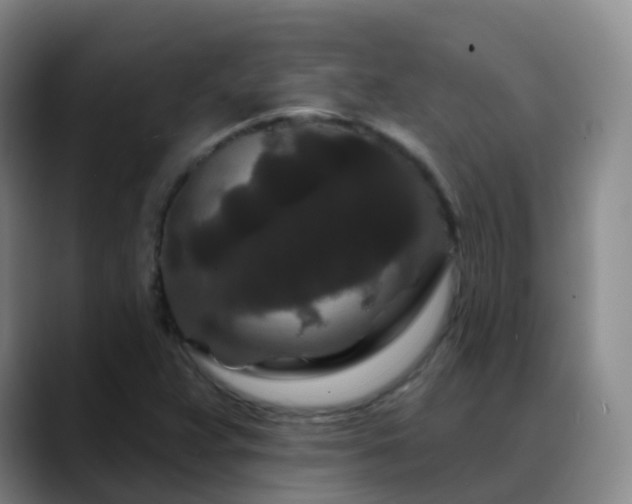 X0000088881359200706151804