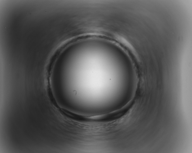 X0000088881360200706151804