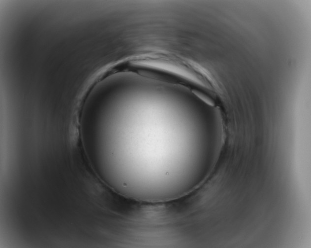 X0000088881363200706151804