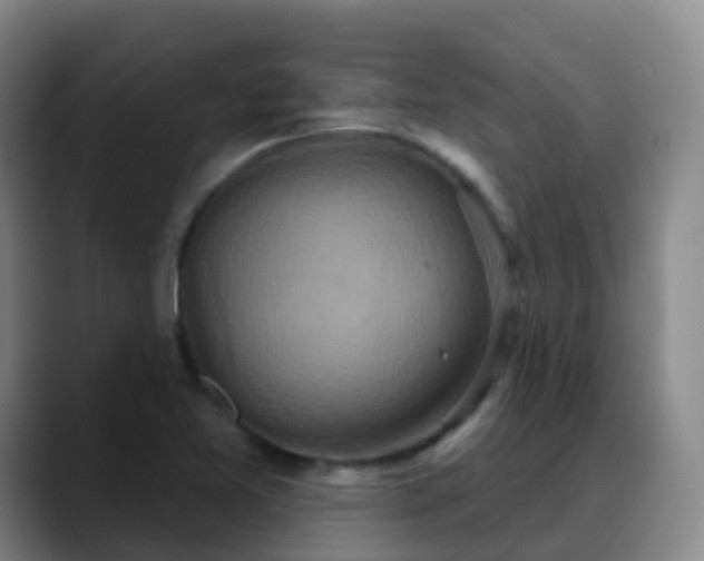 X0000088881365200706151804