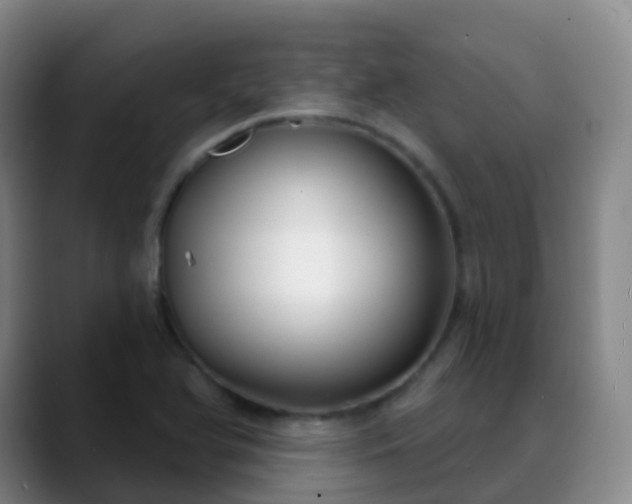 X0000088881366200706151804