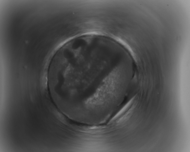 X0000088881367200706151804