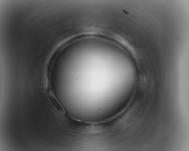 X0000088881368200706151804