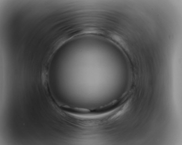 X0000088881369200706151804