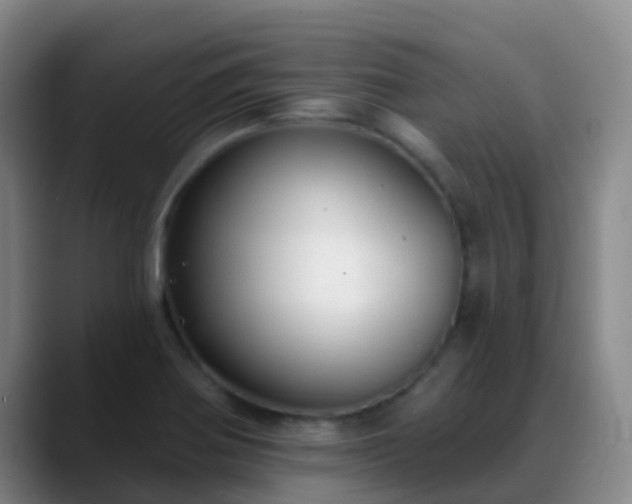 X0000088881370200706151804