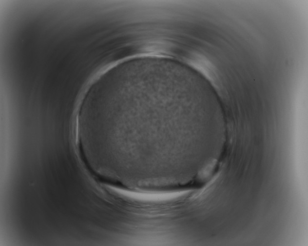 X0000088881371200706151804