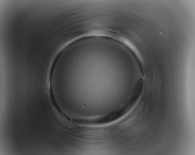 X0000088881372200706151804