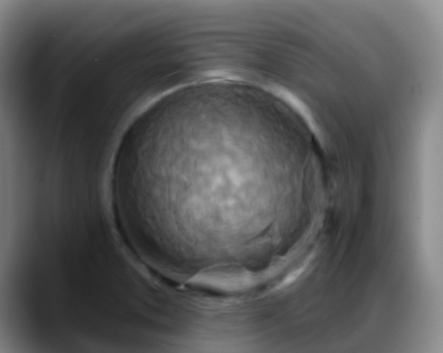 X0000088881373200706151804