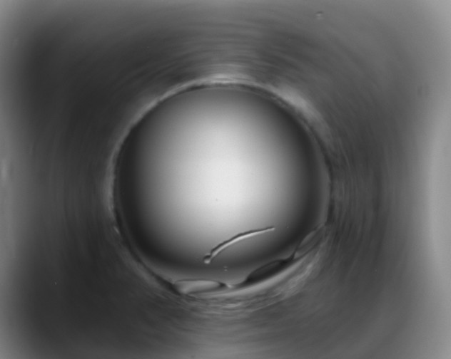 X0000088881374200706151804