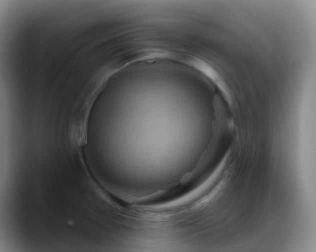 X0000088881377200706151804