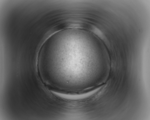 X0000088881378200706151804