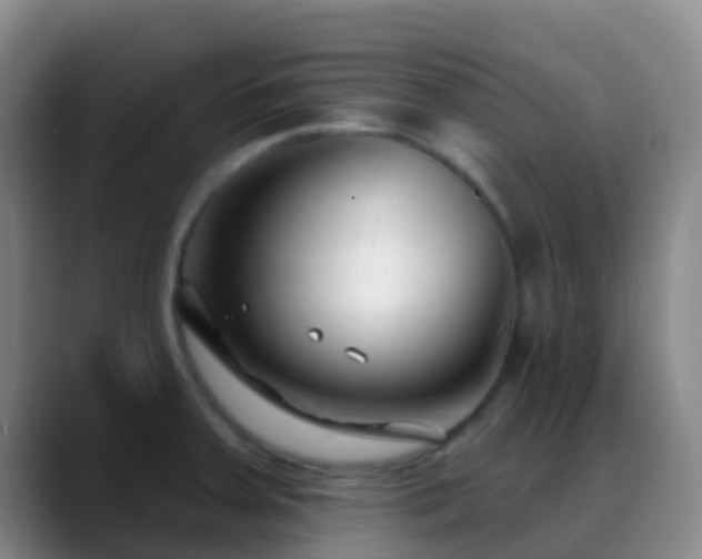 X0000088881379200706151804