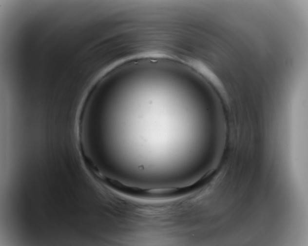 X0000088881380200706151804