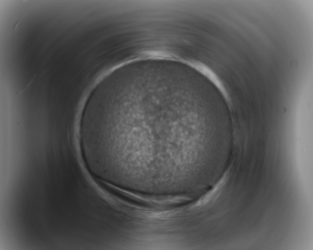 X0000088881381200706151803