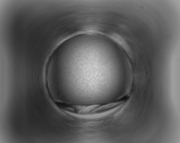 X0000088881382200706151803