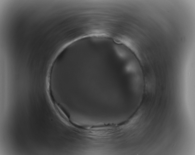 X0000088881383200706151803