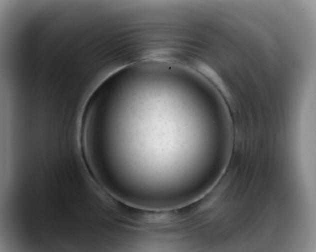 X0000088881386200706151803