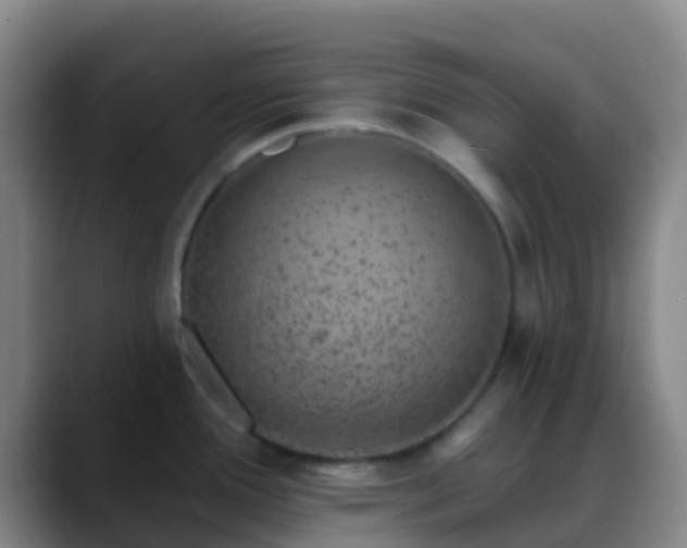 X0000088881388200706151803