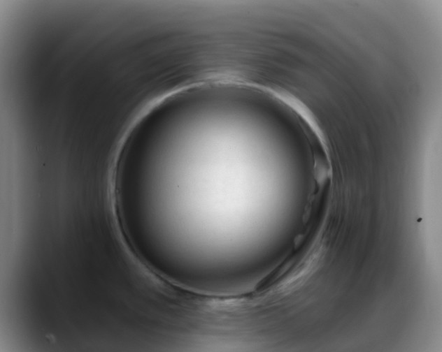 X0000088881389200706151803