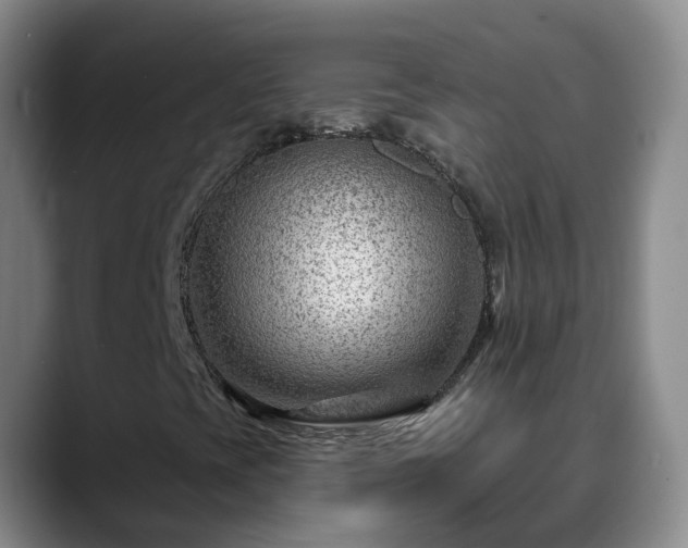 X0000088881393200706151803