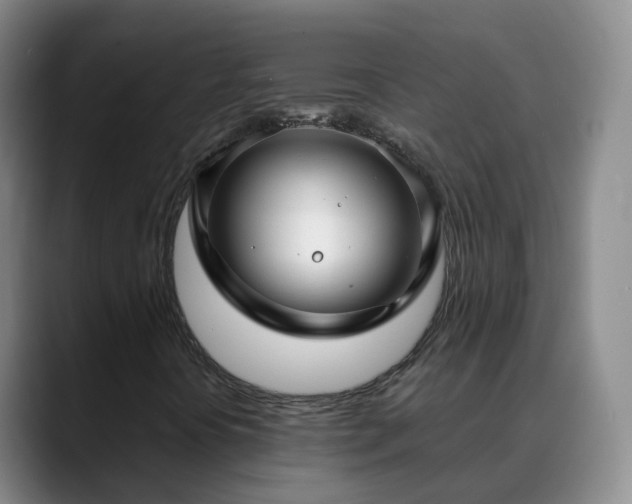 X0000088881394200706151803