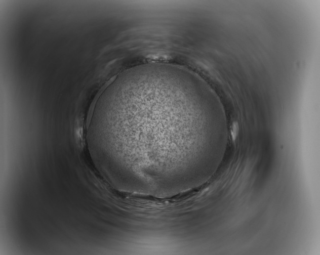 X0000088881396200706151803