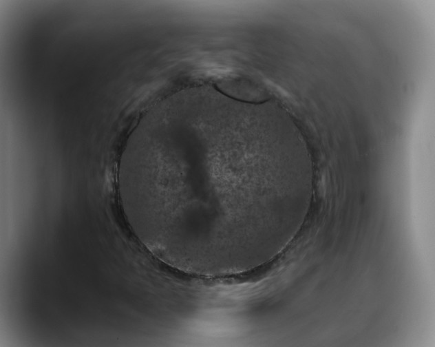 X0000088881397200706151803