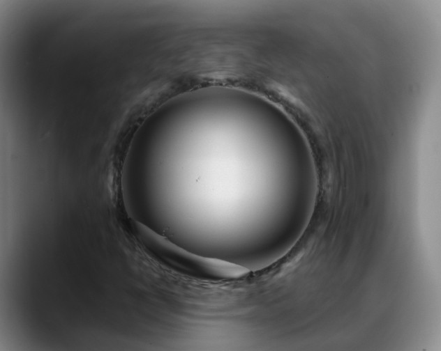 X0000088881398200706151803