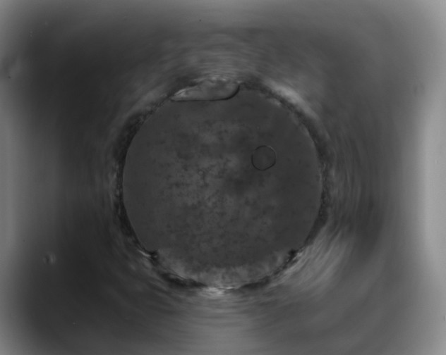 X0000088881399200706151803