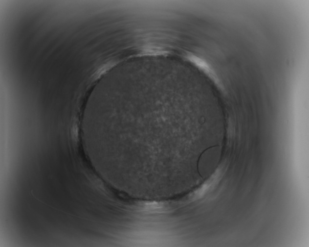 X0000088881401200706151803