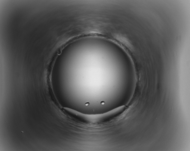 X0000088881404200706151803