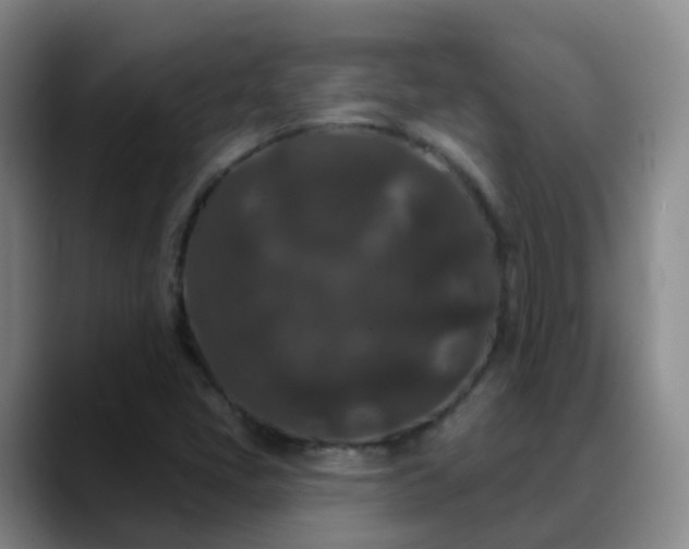 X0000088881405200706151803