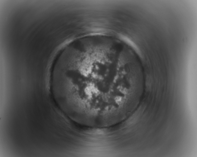 X0000088881411200706151803