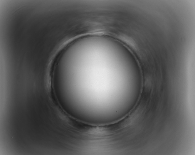 X0000088881414200706151803