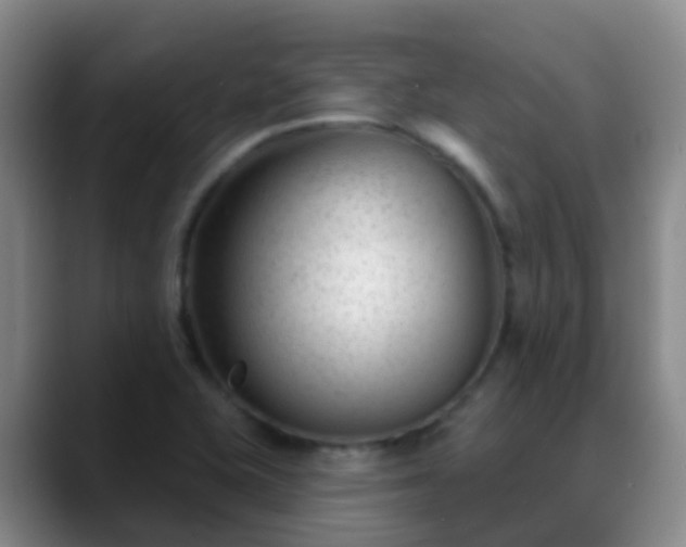 X0000088881415200706151803