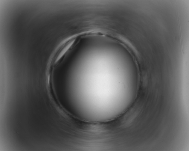 X0000088881416200706151803