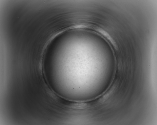 X0000088881417200706151803