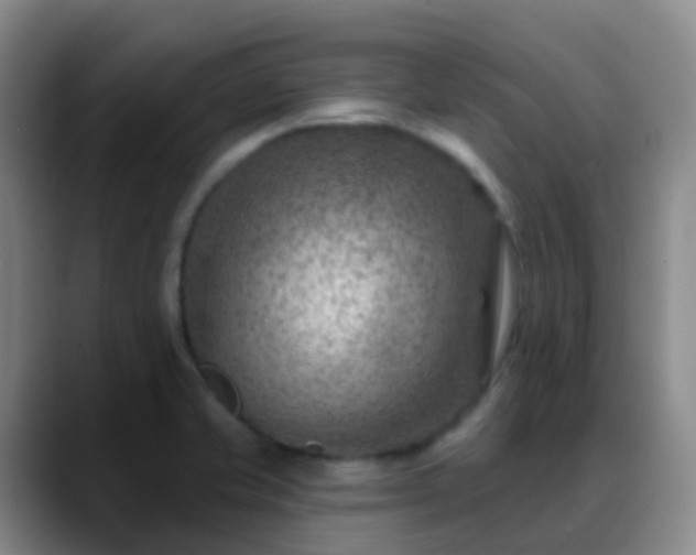 X0000088881421200706151803