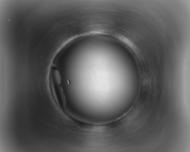 X0000088881423200706151803