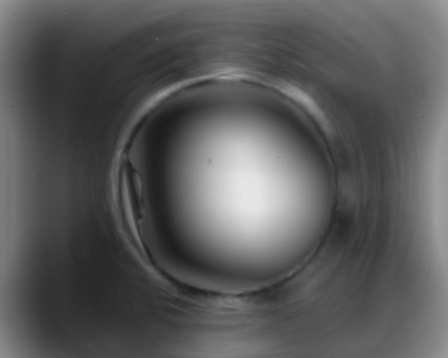 X0000088881424200706151803