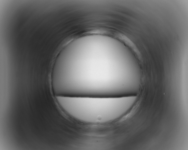 X0000088881425200706151803