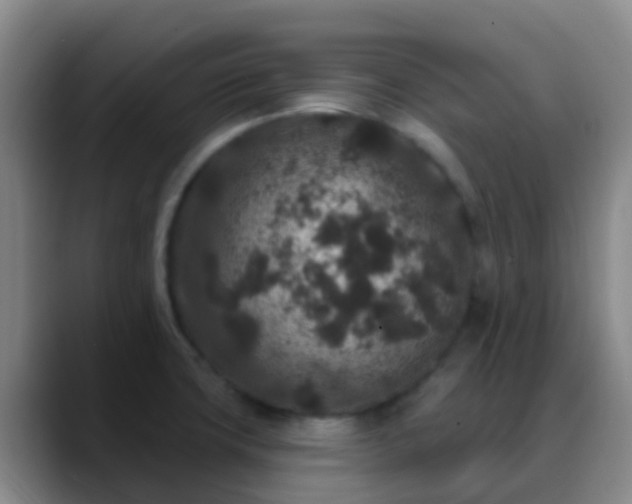 X0000088881427200706151803