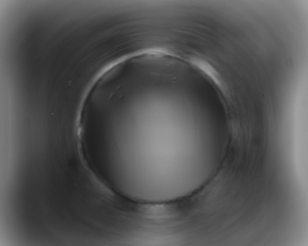 X0000088881428200706151803