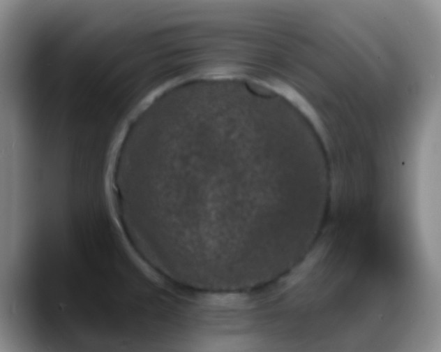 X0000088881429200706151803