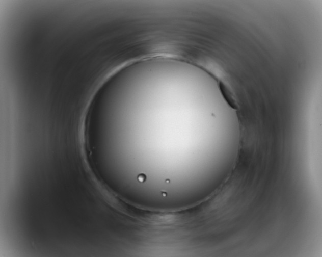 X0000088881431200706151803