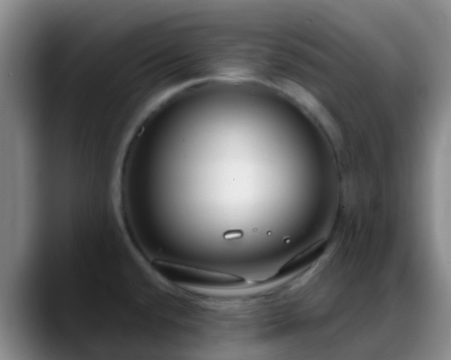 X0000088881432200706151803